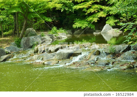 日本庭園 日本庭園 16522984