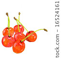 Cherry 16524161