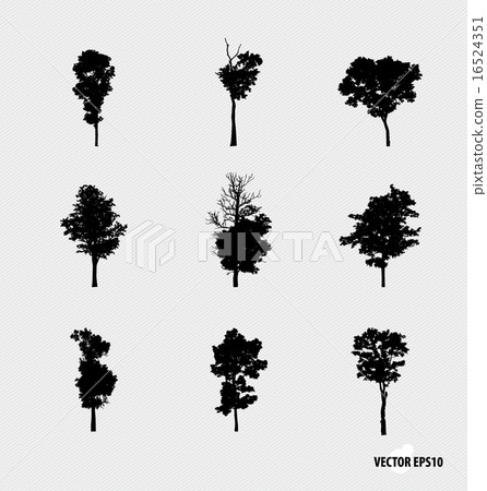 Set of tree silhouettes. Vector illustration. 16524351