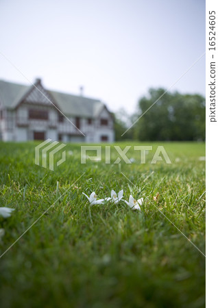 Governor's Hokkaido post Governor's Hokkaido post 16524605