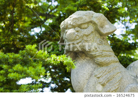 Guardian dog Guardian dog 16524675