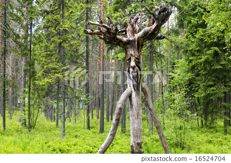 Wooden russian spirit of the wild forest Wooden russian spirit of the wild forest 16524704