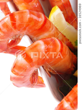 prawns 16524969