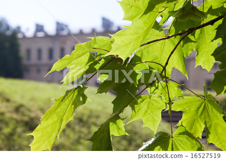 View of the building and the green hill through a View of the building and the green hill through a 16527519