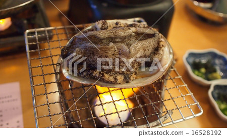 Abalone dancing 16528192