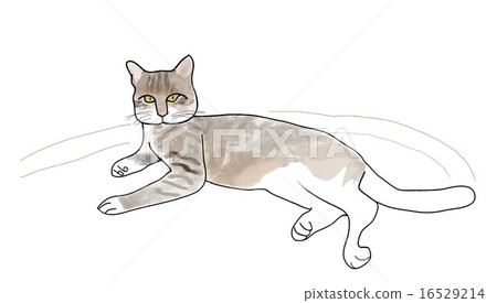 A relaxing cat A relaxing cat 16529214