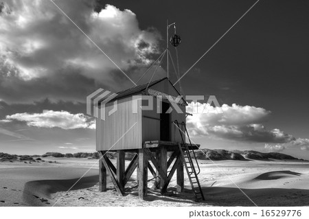 Authentic Dutch wooden beach hut 16529776