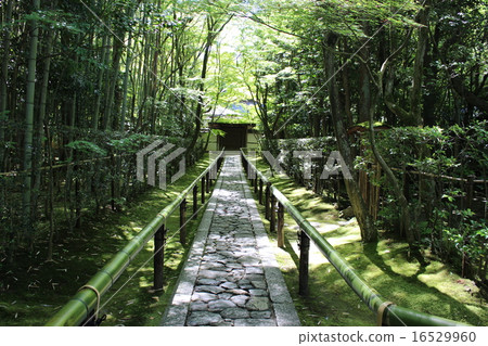 Kotono-in Kotono-in 16529960