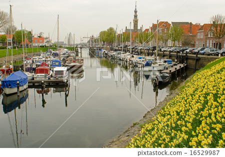 The Marina of Veere in Zeeland in Netherlands 16529987
