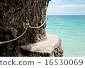 Cliff along beach 16530069