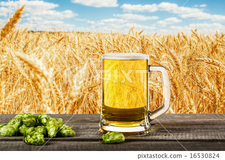 Beer glass with hops on the against a wheat field Beer glass with hops on the against a wheat field 16530824