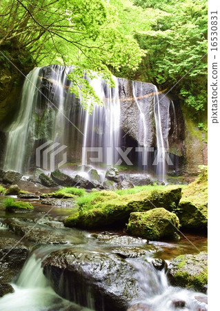 Tatsuzawafudo Falls 16530831
