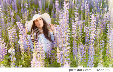 Attractive young woman and meadow Attractive young woman and meadow 16533089