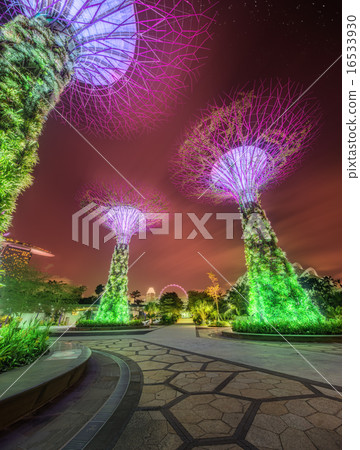 The Supertree at Gardens by the Bay, Singapore The Supertree at Gardens by the Bay, Singapore 16533930