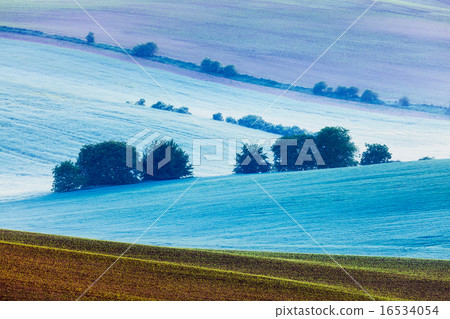 Rolling landscape of  South Moravia in the morning 16534054