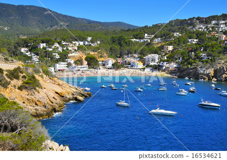 Cala Vedella beach in Ibiza Island, Spain Cala Vedella beach in Ibiza Island, Spain 16534621