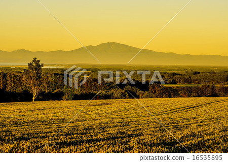 Shimabayake dyed by sunset (Abashiri City) 16535895