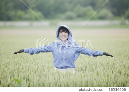 農業女孩 農業女孩 16536606
