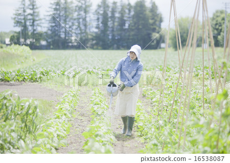 Female farming 16538087