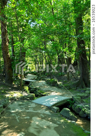 Kyoto Heian Shrine Japanese garden Kyoto Heian Shrine Japanese garden 16539023