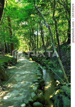 Kyoto Heian Shrine Japanese garden Kyoto Heian Shrine Japanese garden 16539024