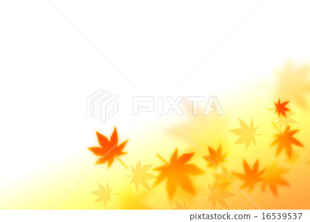 autumn autumn 16539537