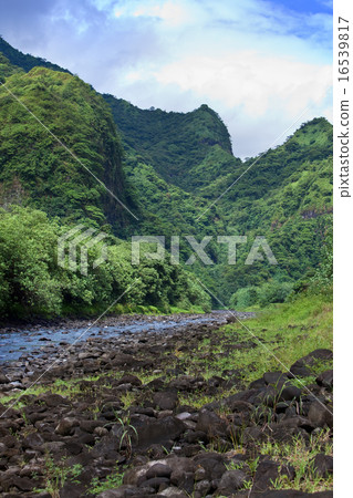 Tahiti.Tropical nature and mountain river. 16539817