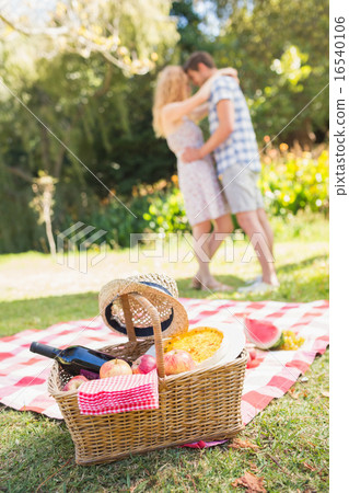 Young couple on a picnic 16540106