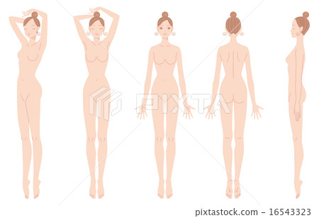 Women's whole body Women's whole body 16543323