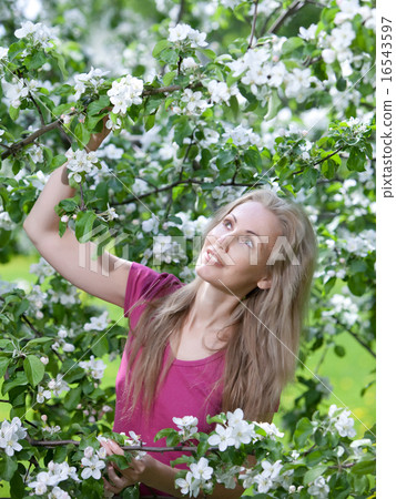 woman standing near the blossoming apple tree.. 16543597