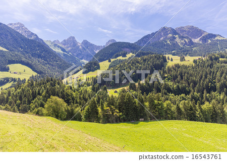 View on the Alps, Switzerland View on the Alps, Switzerland 16543761