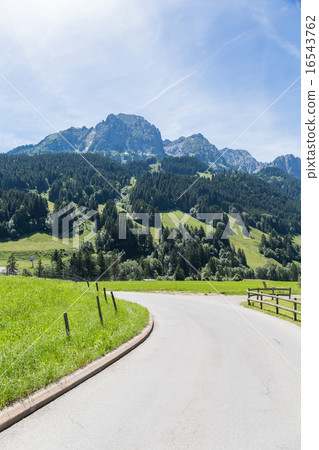 Road in the Alps, Switzerland 16543762