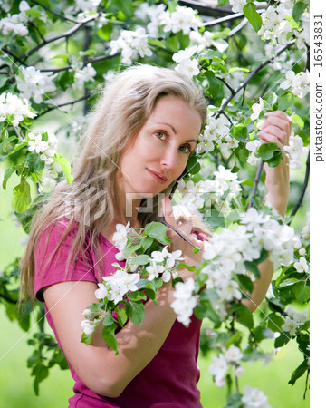 woman standing near the blossoming apple tree 16543831