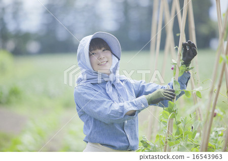 Agriculture women Agriculture women 16543963