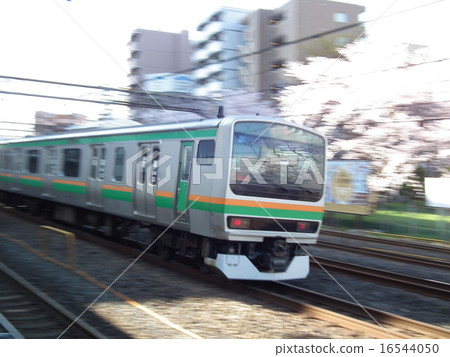 宇都宮線E231系列川口站 16544050