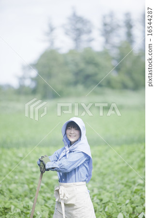 Agriculture girls 16544287