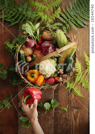 Summer vegetable platter Summer vegetable platter 16544740