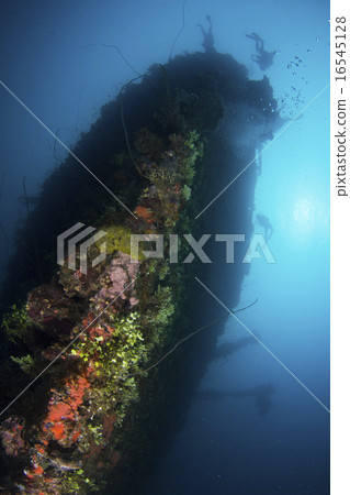 吉普島潛水 16545128