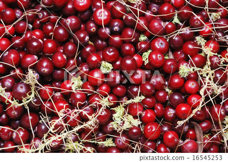 cranberries 16545253