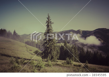 Mountain sunset Mountain sunset 16545595