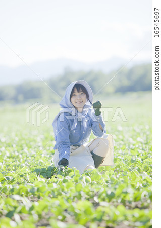 Agriculture girls Agriculture girls 16545697