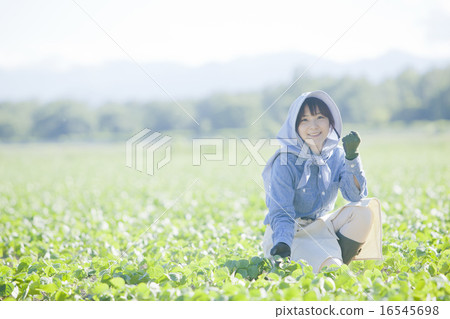 Agriculture girls Agriculture girls 16545698