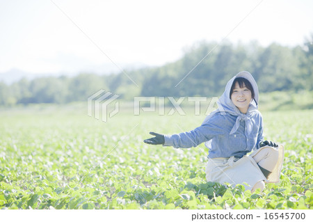 農業女孩 16545700
