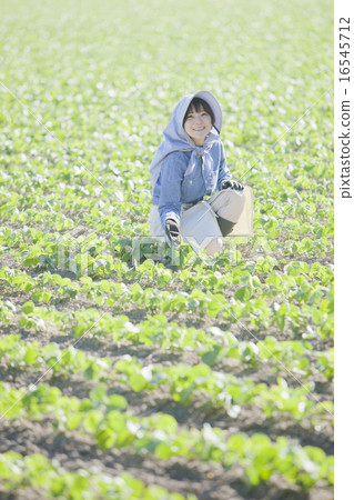 農業女孩 16545712