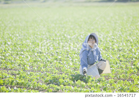 Agriculture girls Agriculture girls 16545717
