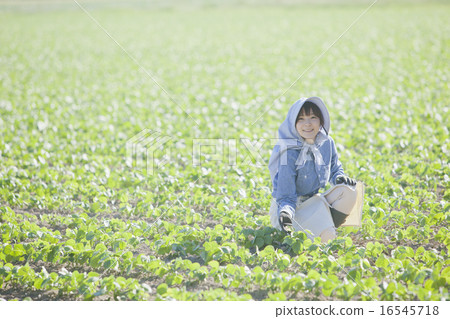 農業女孩 16545718