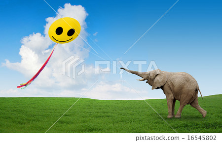 Positive animal. 16545802