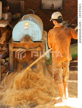 Asian worker, coconut fiber industry, Vietnamese 16545921