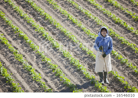 Agriculture girls 16546010