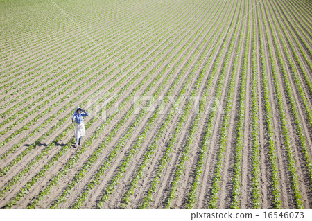 Agriculture girls 16546073